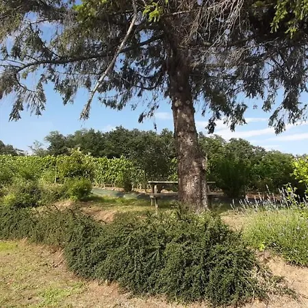 Le Pressoir Holiday home Mercurol-Veaunes